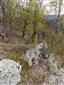 grimaldia trojtyčinková (12.4.2014)